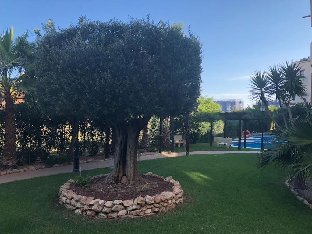 Panorama Park, Punta Prima, 5 Star Luxury 2 Bedroom Apartment Like No Other Alicante Exteriör bild